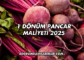 1 Dönüm Pancar Maliyeti 2025
