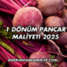 1 Dönüm Pancar Maliyeti 2025