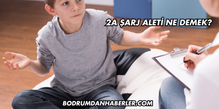 2A Şarj Aleti Ne Demek?