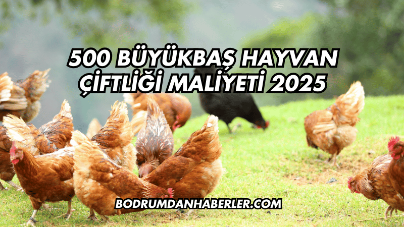 500 Büyükbaş Hayvan Çiftliği Maliyeti 2025