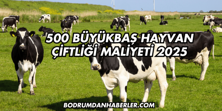 500 Büyükbaş Hayvan Çiftliği Maliyeti 2025