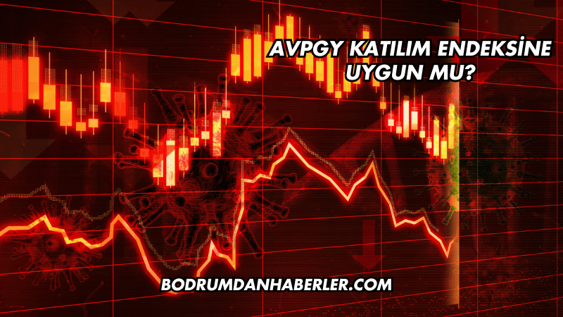 AVPGY Katılım Endeksine Uygun mu?
