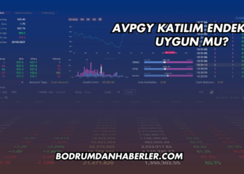 AVPGY Katılım Endeksine Uygun mu?