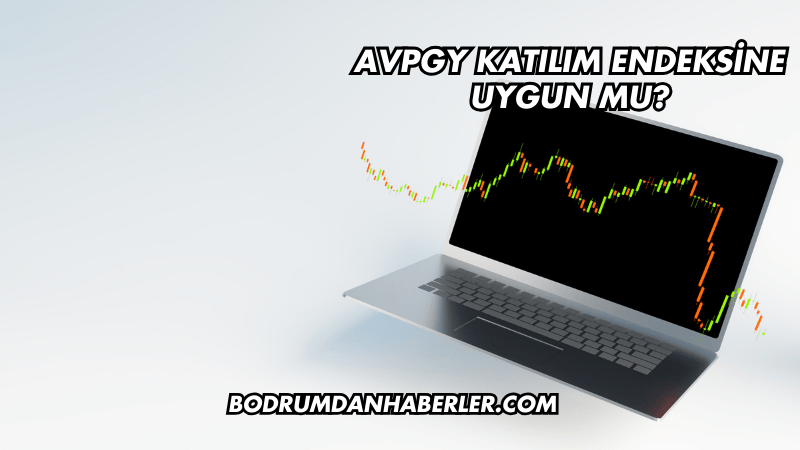 AVPGY Katılım Endeksine Uygun mu?