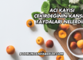Acı Kayısı Çekirdeğinin Kansere Faydaları Nelerdir?