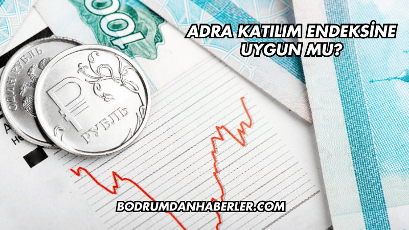 Adra Katılım Endeksine Uygun mu?