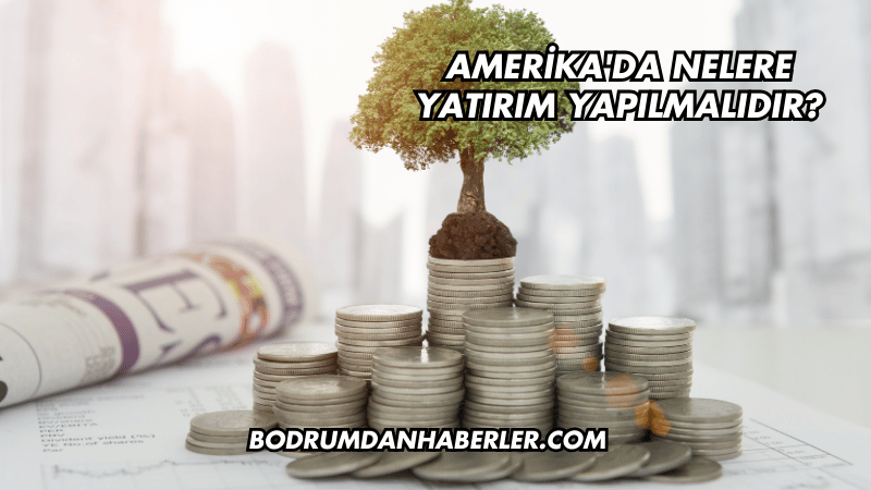 Amerika'da Nelere Yatırım Yapılmalıdır?