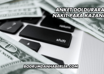 Anket Doldurarak Nakit Para Kazanma