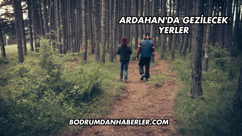 Ardahan'da Gezilecek Yerler