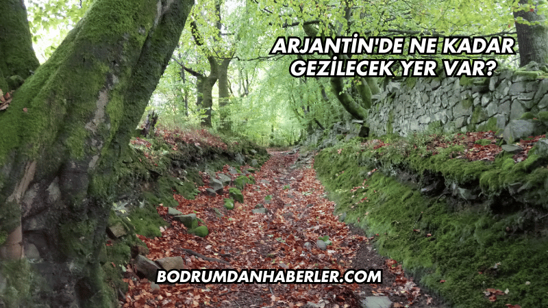 Arjantin'de Ne Kadar Gezilecek Yer Var?