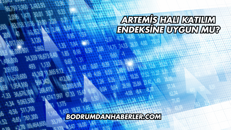 Artemis Halı Katılım Endeksine Uygun mu?
