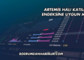 Artemis Halı Katılım Endeksine Uygun mu?