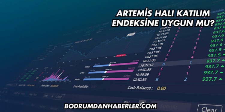 Artemis Halı Katılım Endeksine Uygun mu?