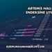 Artemis Halı Katılım Endeksine Uygun mu?