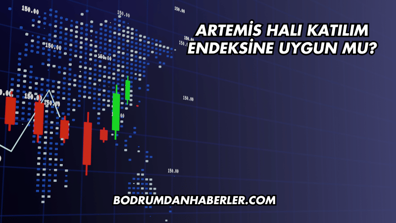 Artemis Halı Katılım Endeksine Uygun mu?