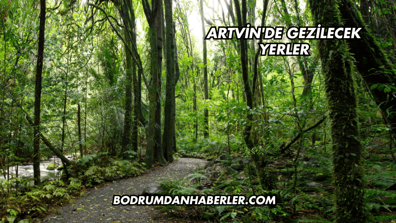Artvin'de Gezilecek Yerler