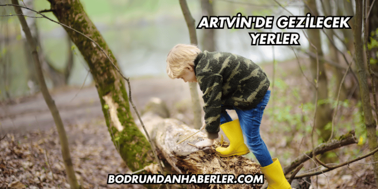 Artvin'de Gezilecek Yerler
