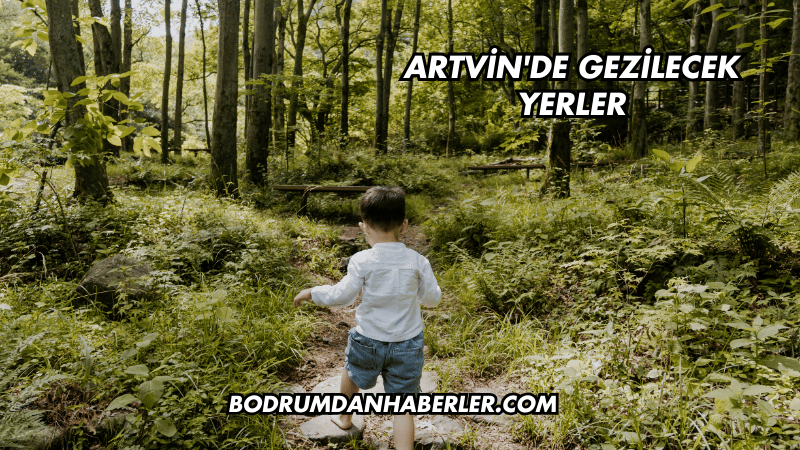 Artvin'de Gezilecek Yerler