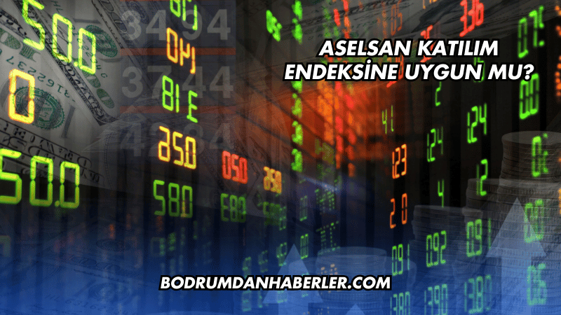 Aselsan Katılım Endeksine Uygun mu?