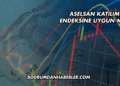Aselsan Katılım Endeksine Uygun mu?