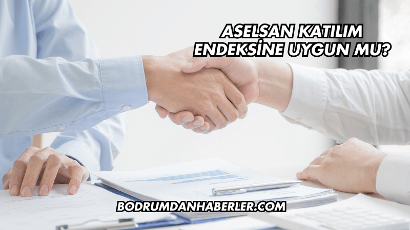 Aselsan Katılım Endeksine Uygun mu?