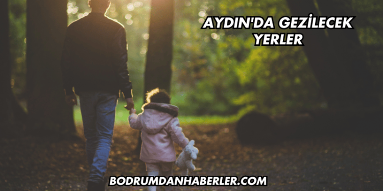 Aydın'da Gezilecek Yerler