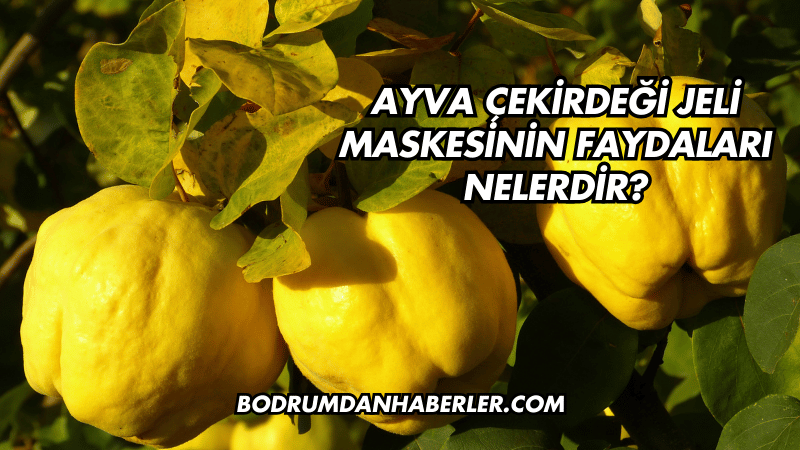 Ayva Çekirdeği Jeli Maskesinin Faydaları Nelerdir?