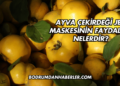 Ayva Çekirdeği Jeli Maskesinin Faydaları Nelerdir?