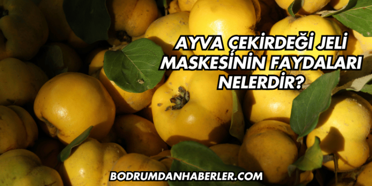 Ayva Çekirdeği Jeli Maskesinin Faydaları Nelerdir?