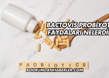 Bactovis Probiyotik Faydaları Nelerdir?