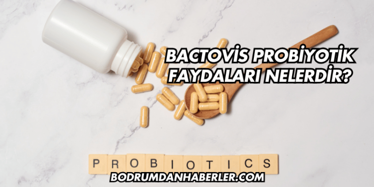 Bactovis Probiyotik Faydaları Nelerdir?