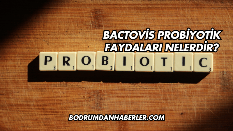 Bactovis Probiyotik Faydaları Nelerdir?