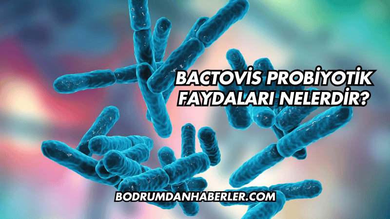 Bactovis Probiyotik Faydaları Nelerdir?