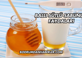 Ballı Sütlü Sabunun Faydaları
