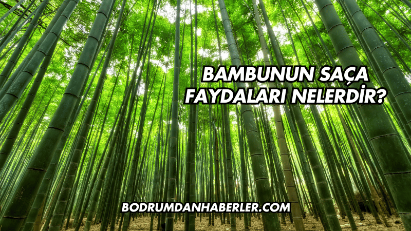 Bambunun Saça Faydaları Nelerdir?