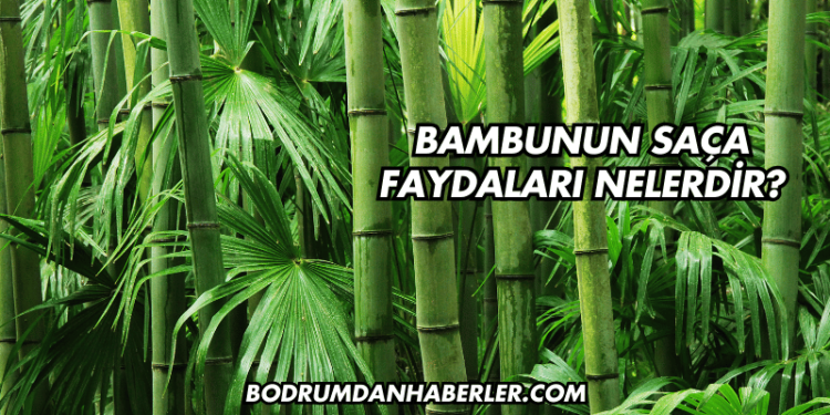 Bambunun Saça Faydaları Nelerdir?