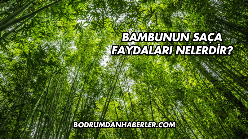 Bambunun Saça Faydaları Nelerdir?