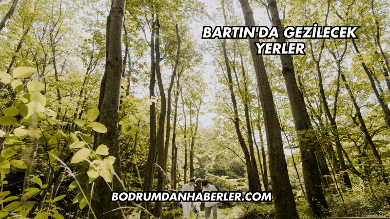 Bartın'da Gezilecek Yerler