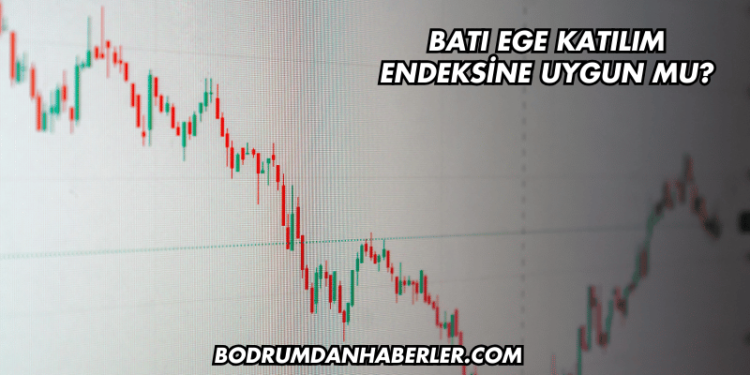 Batı Ege Katılım Endeksine Uygun mu?