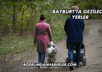 Bayburt'ta Gezilecek Yerler