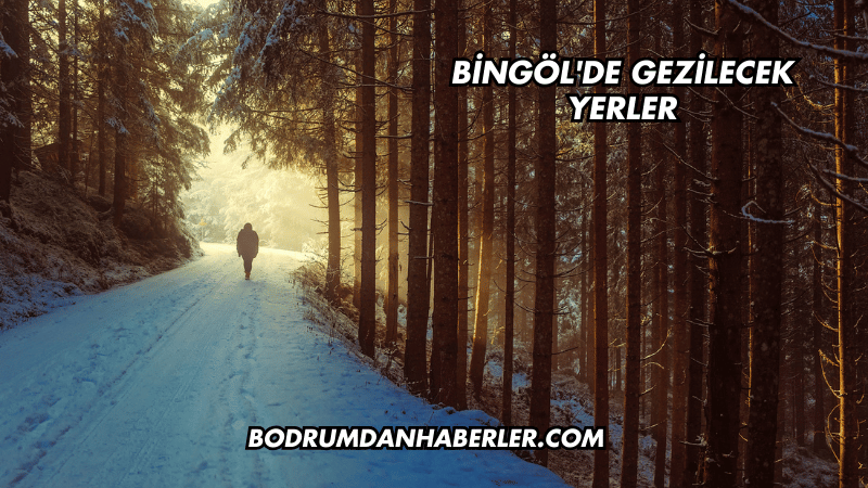 Bingöl'de Gezilecek Yerler