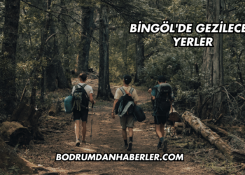 Bingöl'de Gezilecek Yerler