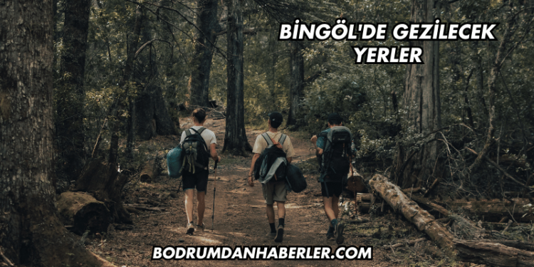 Bingöl'de Gezilecek Yerler
