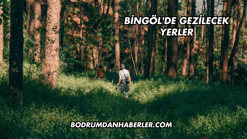 Bingöl'de Gezilecek Yerler