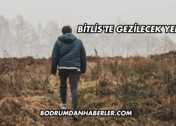 Bitlis'te Gezilecek Yerler