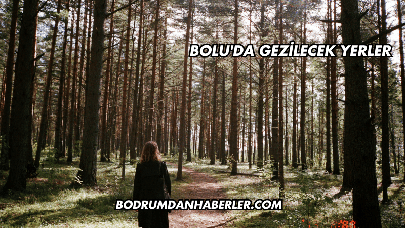 Bolu'da Gezilecek Yerler