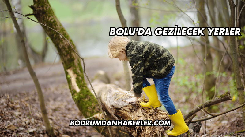 Bolu'da Gezilecek Yerler