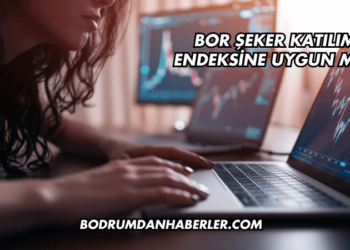 Bor Şeker Katılım Endeksine Uygun mu?
