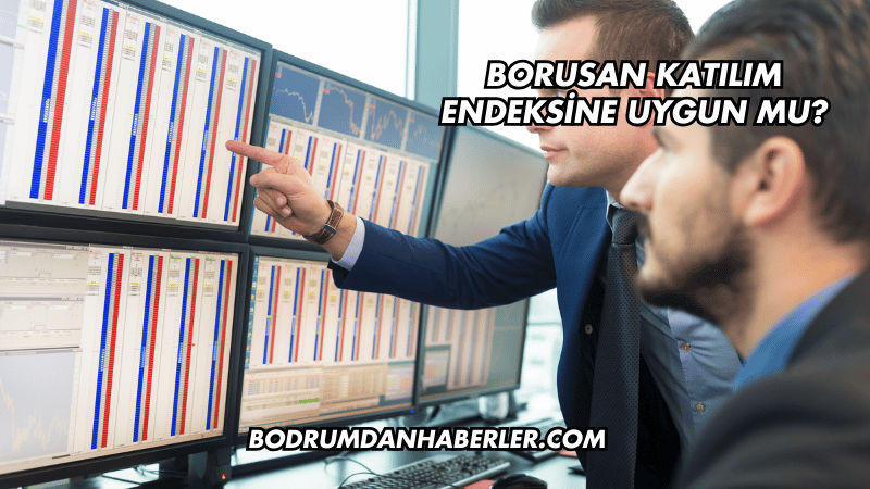 Borusan Katılım Endeksine Uygun mu?