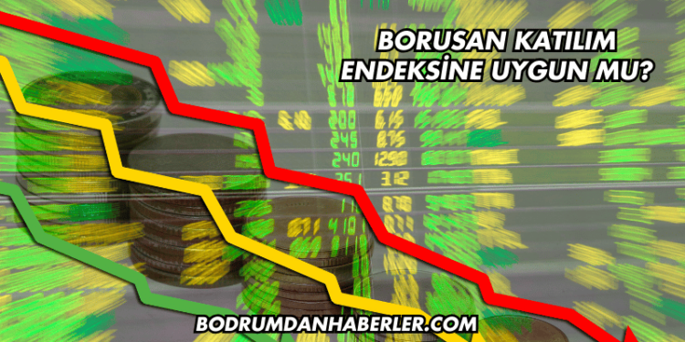 Borusan Katılım Endeksine Uygun mu?